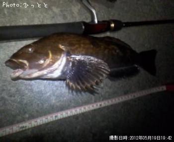 �����ʥ�