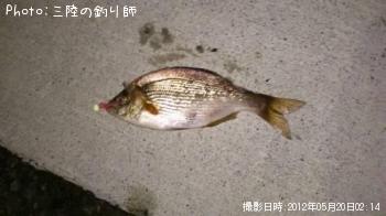 ���ߥ��ʥ�