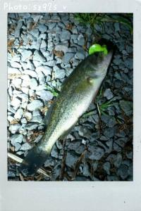 �֥�å��Х�