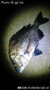 ¥Ê¥ó¥è¥¦¥Á¥Ì