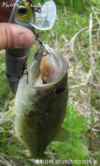 �֥�å��Х�