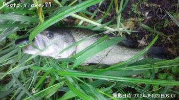 �֥�å��Х�