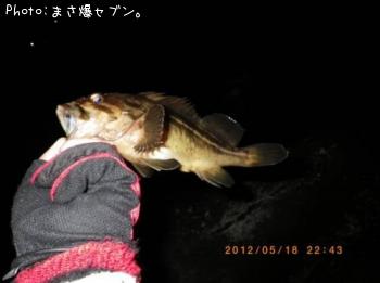 ���ޥ���