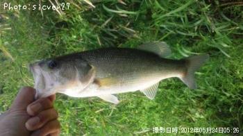 ¥Ö¥é¥Ã¥¯¥Ð¥¹