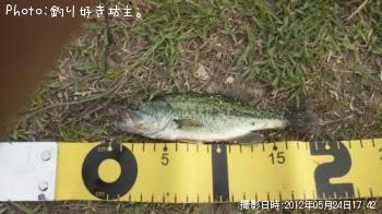 �֥�å��Х�