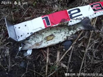 ¥Ö¥é¥Ã¥¯¥Ð¥¹