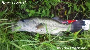 �֥�å��Х�