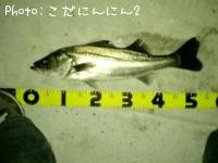 �����Х�