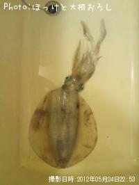 �����ꥤ��