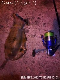 �����ꥤ��