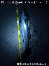 �����Х�