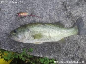 �֥�å��Х�