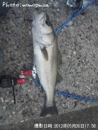 �����Х�