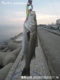 �����Х�