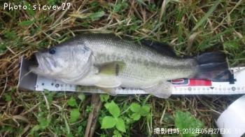 �֥�å��Х�