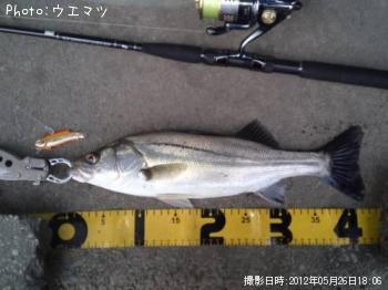 �����Х�