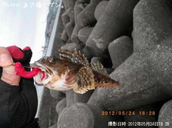 �٥�������