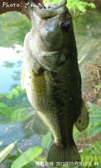 �֥�å��Х�