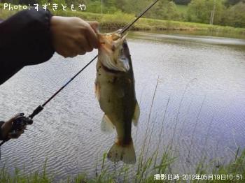 ¥Ö¥é¥Ã¥¯¥Ð¥¹