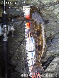 �����ʥ�