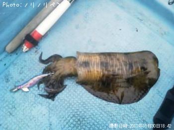 �����ꥤ��