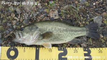 �֥�å��Х�