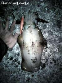 �����ꥤ��