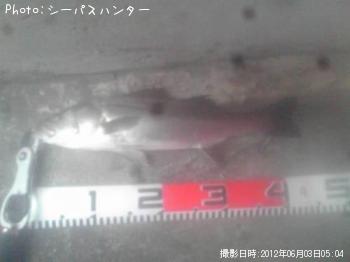 �����Х�