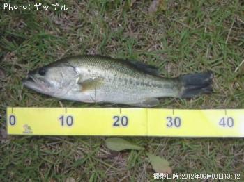 ¥Ö¥é¥Ã¥¯¥Ð¥¹