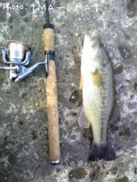 ¥Ö¥é¥Ã¥¯¥Ð¥¹