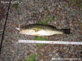 �֥�å��Х�