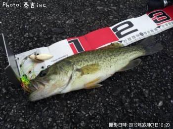 �֥�å��Х�