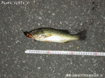 �֥�å��Х�