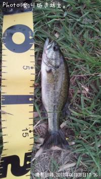 ¥Ö¥é¥Ã¥¯¥Ð¥¹