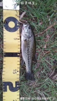 ¥Ö¥é¥Ã¥¯¥Ð¥¹