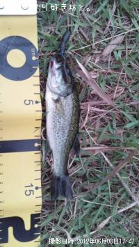 �֥�å��Х�