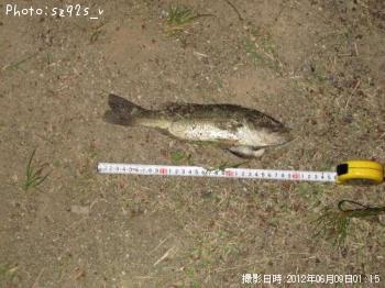 ¥Ö¥é¥Ã¥¯¥Ð¥¹