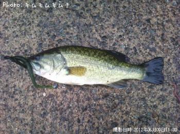 ¥Ö¥é¥Ã¥¯¥Ð¥¹