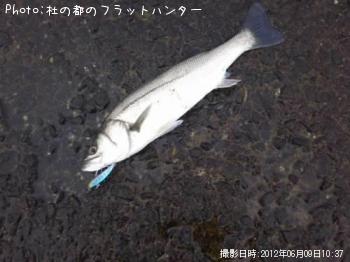 �����Х�