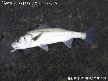 �����Х�