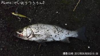 �ҥ饻����