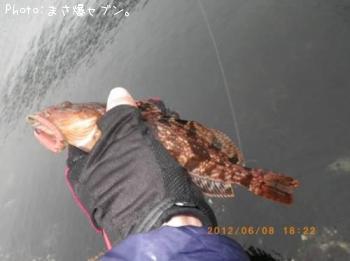 �����ʥ�