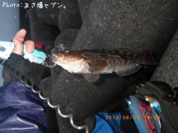 �����ʥ�