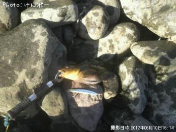 �����ʥ�