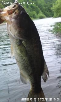 �֥�å��Х�