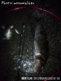 �����ʥ�