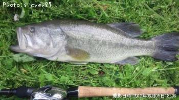 �֥�å��Х�