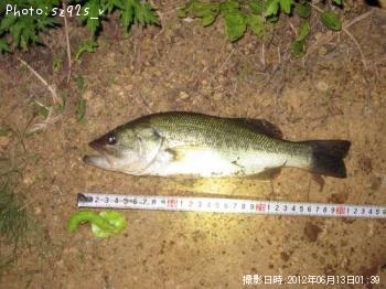 �֥�å��Х�