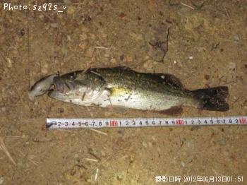 ¥Ö¥é¥Ã¥¯¥Ð¥¹