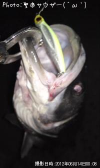 �����Х�